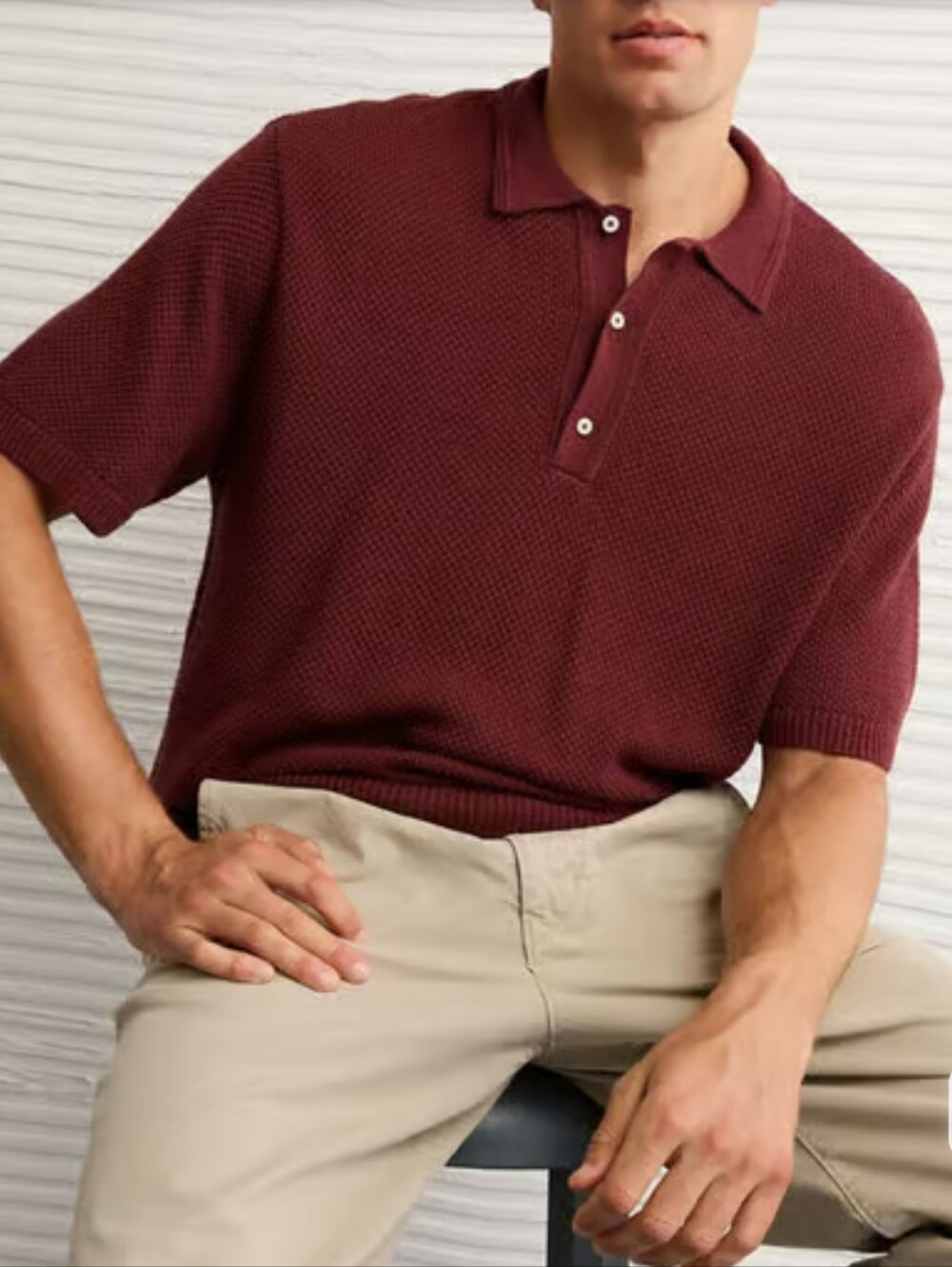 American Eagle Outfitters Maroon Textured Short-Sleeve Polo